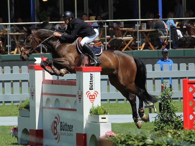 能力为球队 能力为球队