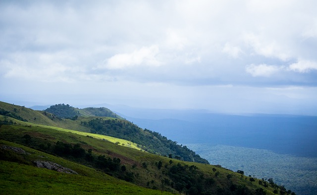对游戏的理 对游戏的理