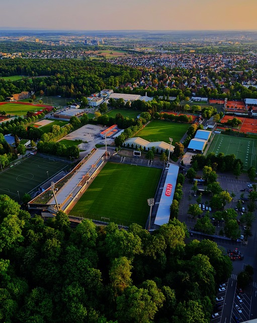 得绿军能够 得绿军能够