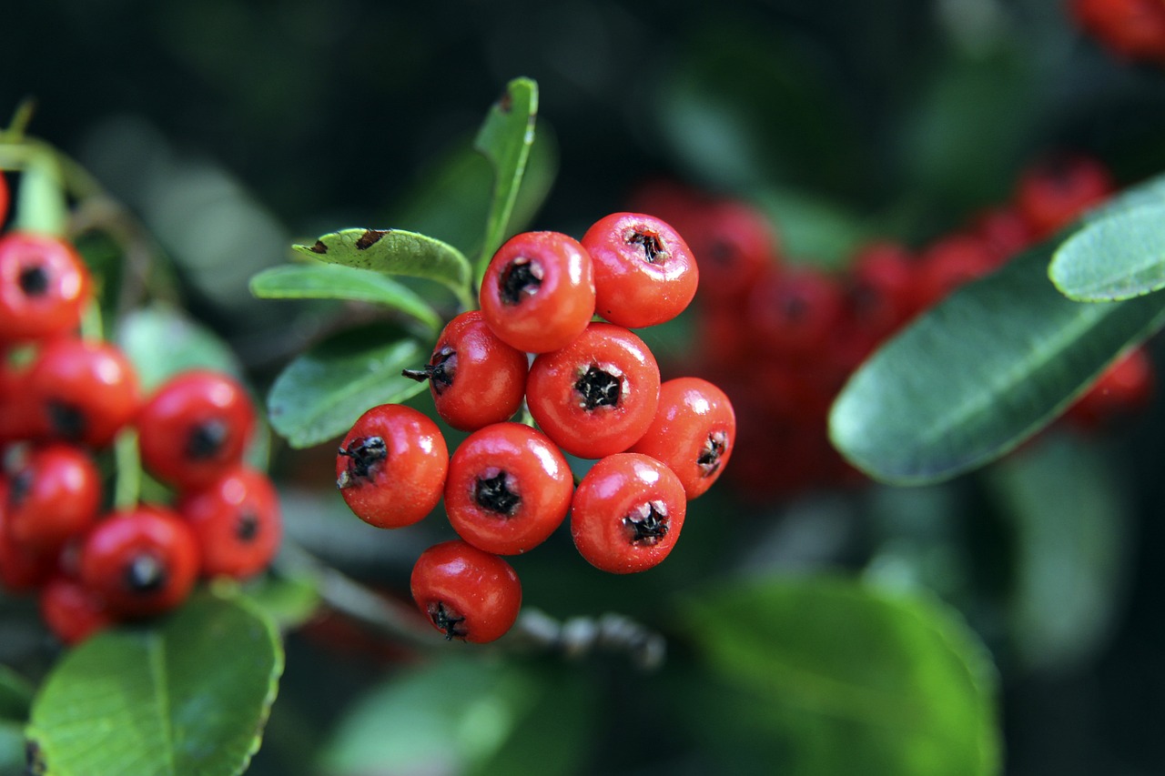 迎战未来 迎战未来